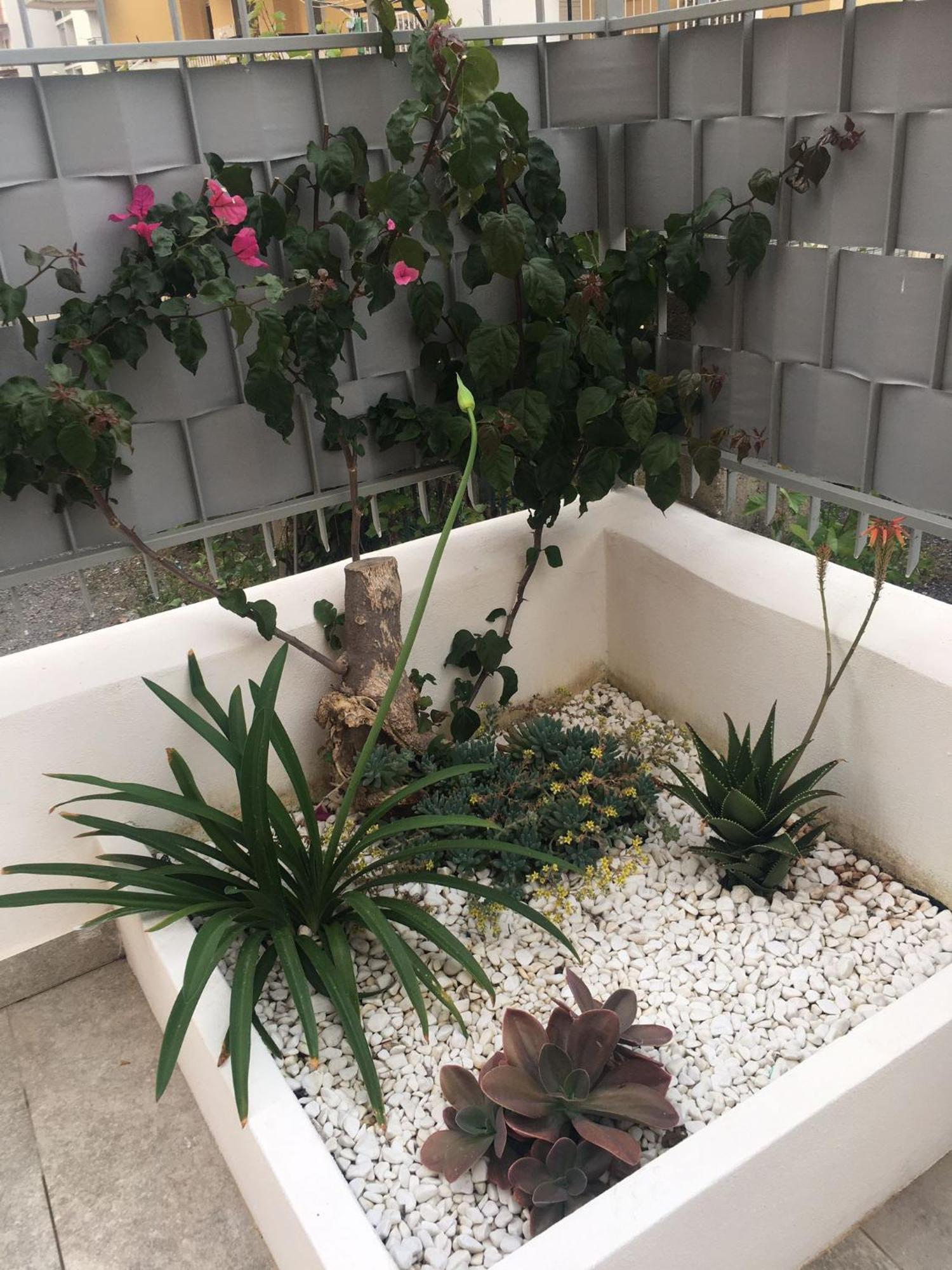 Gilda'S Home Скалеа Екстер'єр фото